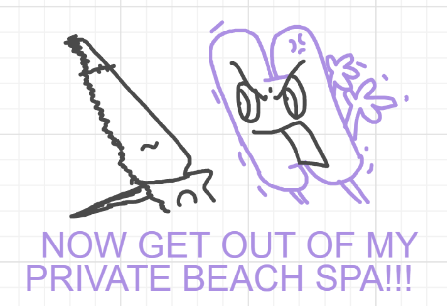 A panel from What's The Point, episode five of the Board Boards object show by Furretwalk/WalkingFurret.